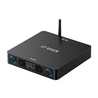 FIIO BR15 R2R Zwart