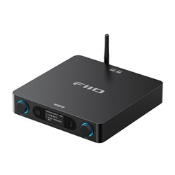 FIIO BR15 R2R Zwart
