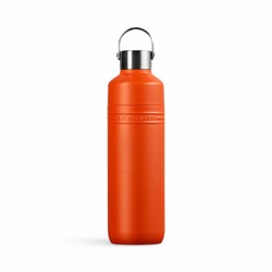 Le Creuset Drinkfles Dubbelwandig On The Go 1,0 Liter Oranjerood