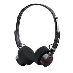 FIIO EH11 transparant Zwart