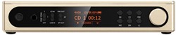 FIIO DM15 R2R Titanium Gold