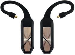 iFi Audio GO pod
