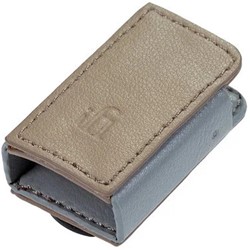 iFi Audio Go blu case