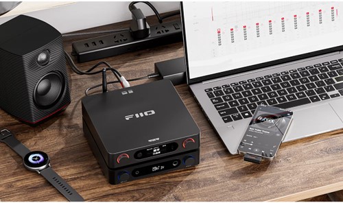 FIIO BR15 R2R Zwart-3