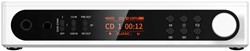 FIIO DM15 R2R Wit